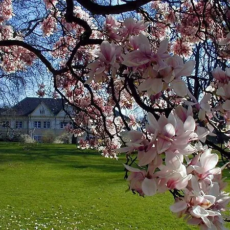 H+ فندق بوخوم